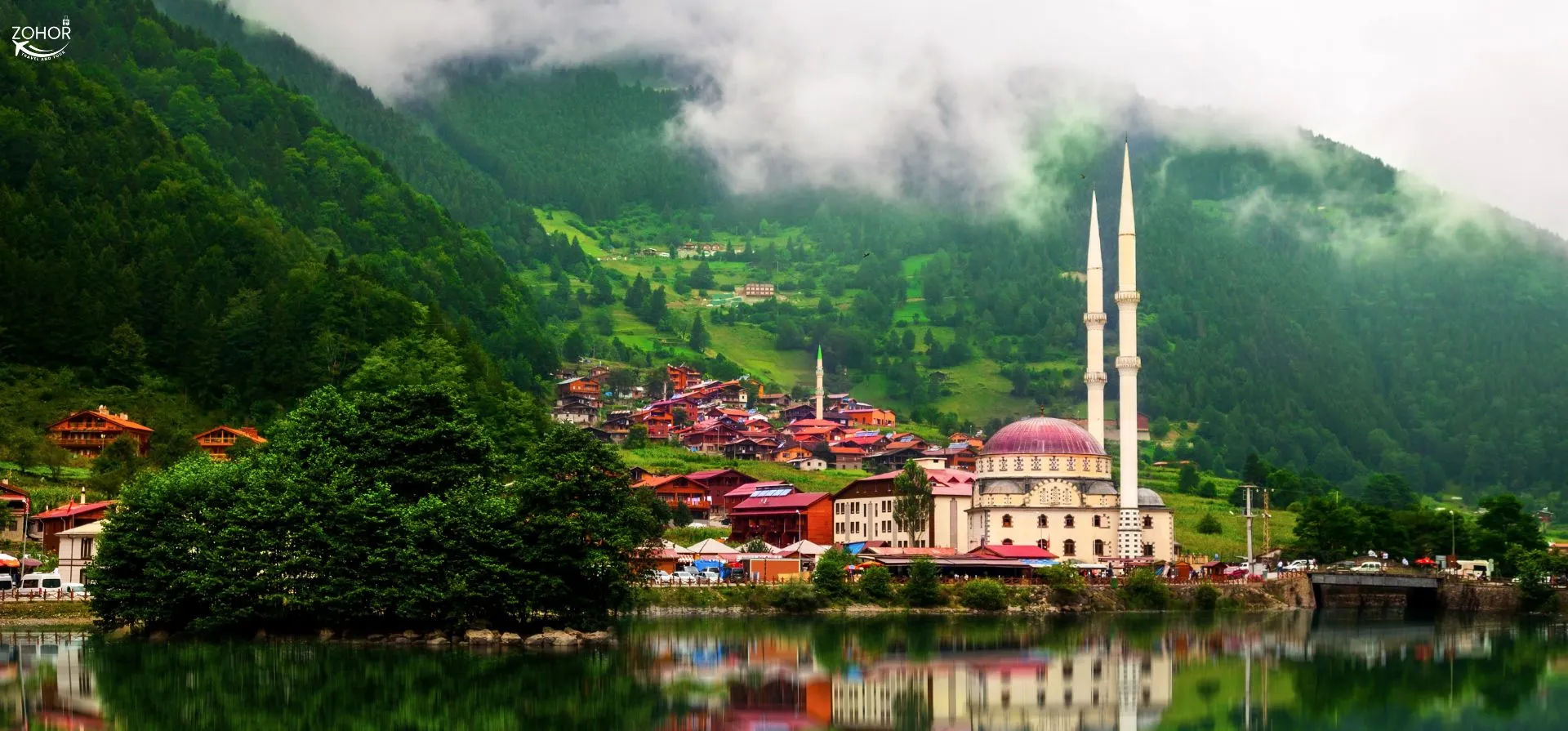 زهور للسياحة