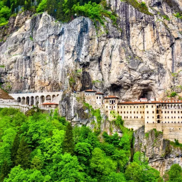 زهور للسياحة 1 600x600