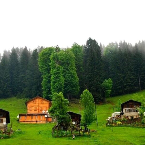 جولة آيدر 1 600x600