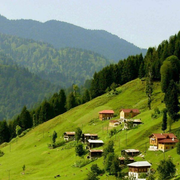 جولة آيدر 2 600x600