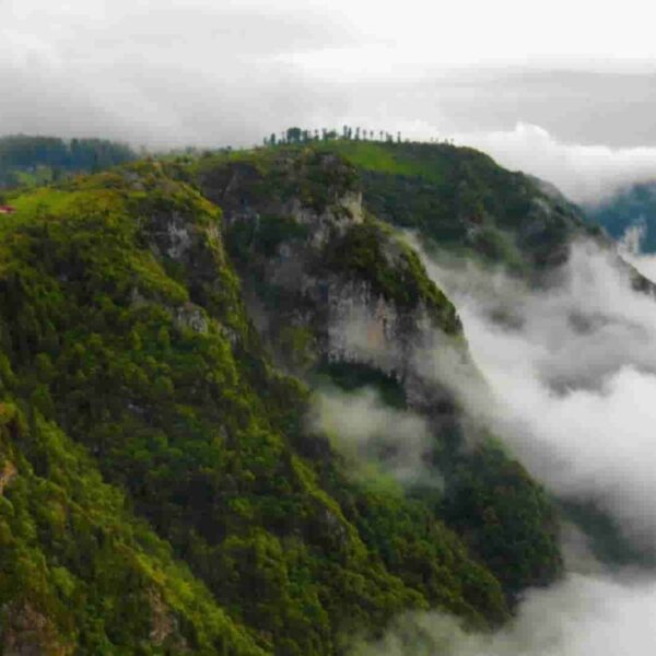 جولة جيدر نبي 2 600x600