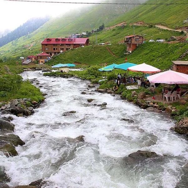 WhatsApp Image 2026 02 10 at 12 49 28 600x600