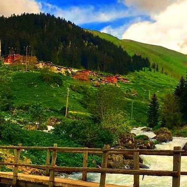 WhatsApp Image 2026 02 10 at 12 49 29 600x600