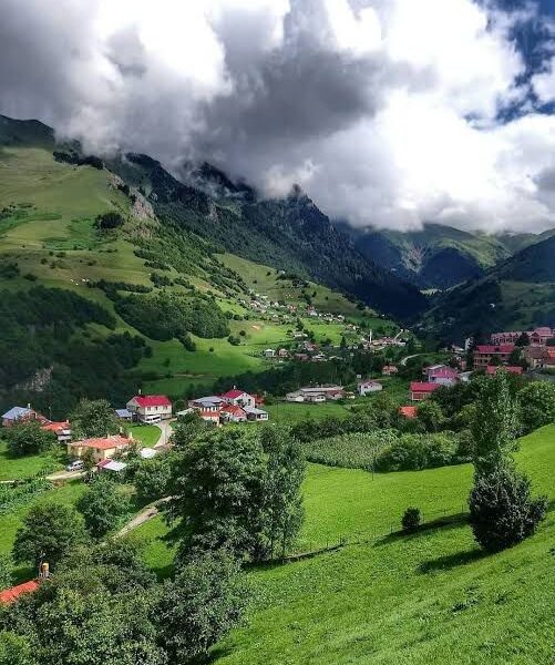 WhatsApp Image 2026 02 28 at 8 23 31 PM 501x600